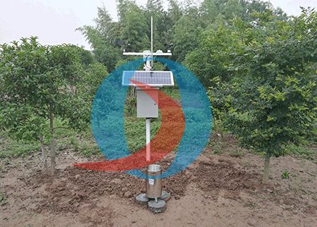 科技赋能田野 小型气象监测站与托管服务引领现代农业新变革