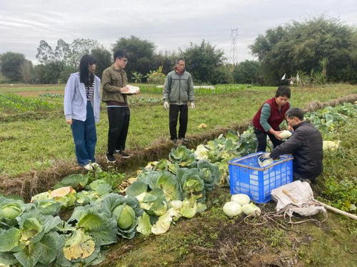 下沉监督护春耕，夯实设施促丰收——以高质量农业基础设施建设护航春耕生产