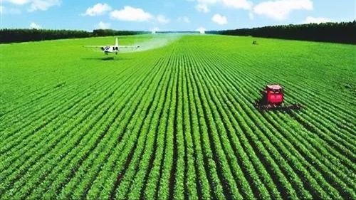 减少1300万人，东北农业逆袭新路径 企业托管服务重塑黑土地