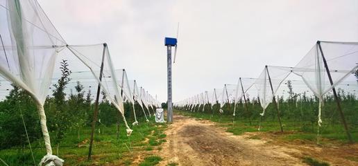 庆城县 果园搭起“防护伞” 果农增收有保障