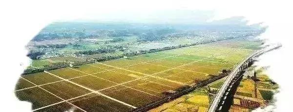 2019年四大农业产业项目补贴新政 先建后补，最高补贴达1亿元