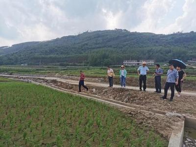 来宾市农业农村局联合财政局开展2021年高标准农田建设及耕地地力保护督导工作，助力农业企业托管服务发展