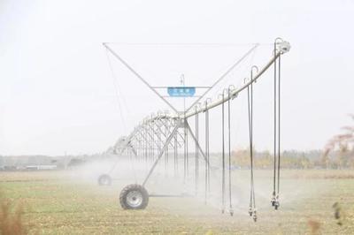 安徽省启动Ⅲ级抗旱应急响应 农业企业托管服务助力抗旱保收