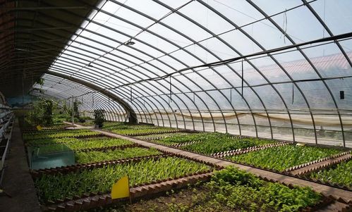 榆中县坚持“四生融合”理念，夯实农业基础设施建设和美乡村