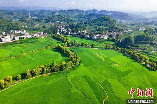 绿意盎然黔西夏，基建赋能田园兴
