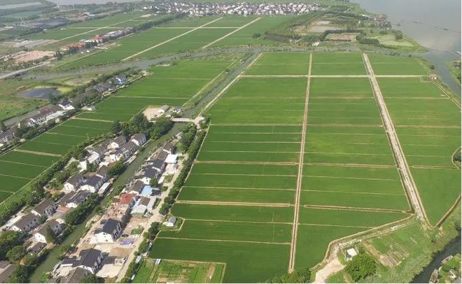 昆山市周庄镇 “犇”出农业现代化加速度 源头夯实农业基础设施建设