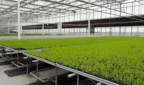 鸡东县抓工期抢进度 加快智能蔬菜育苗工厂项目建设 夯实农业基础设施